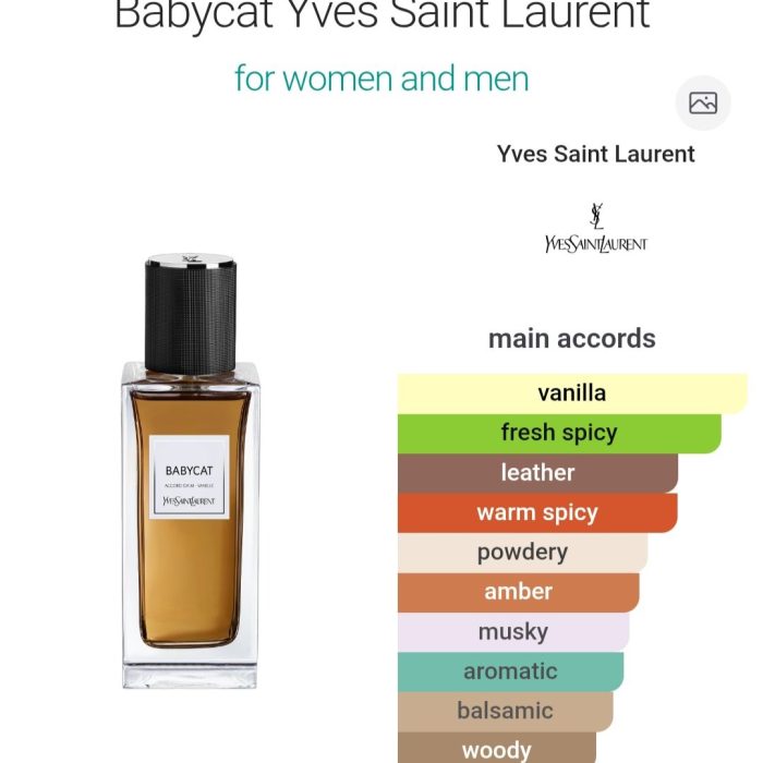 Babycat YSL - 50 ml