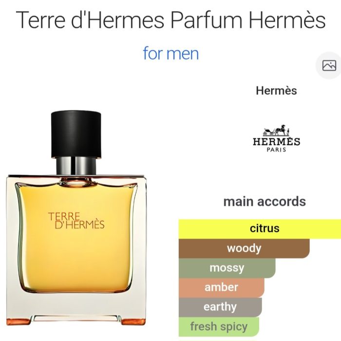 Terre d'Hermes Parfum - 50 ml