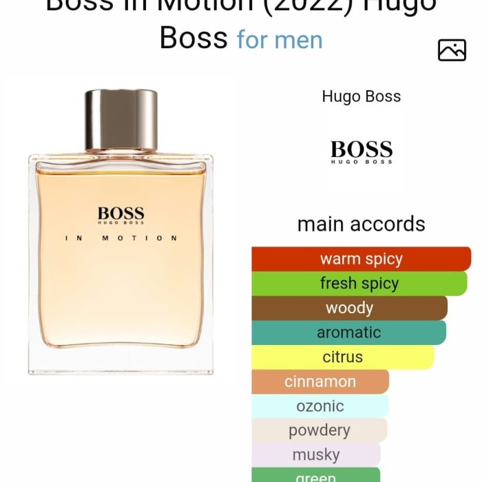 Boss in Motion - 50 ml