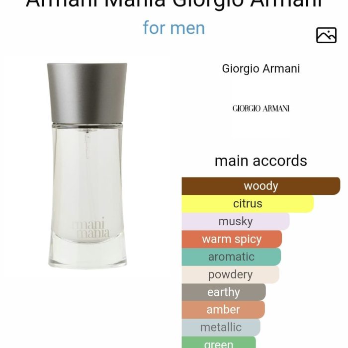 Armani Mania - 50 ml