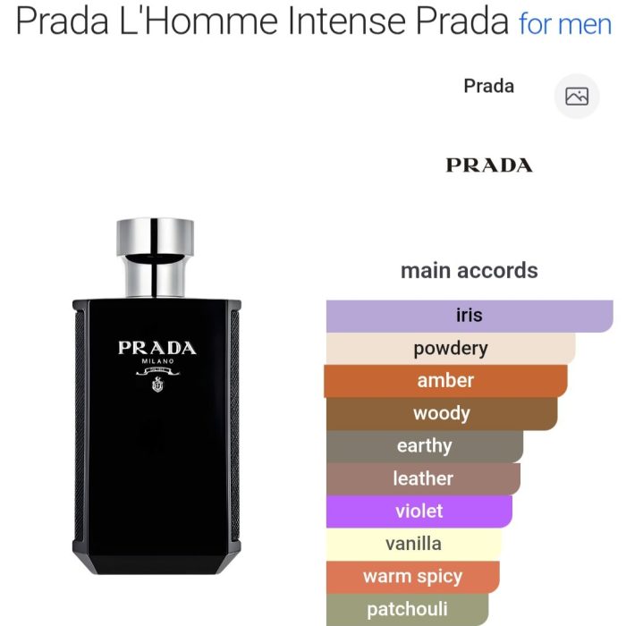 L'Homme Homme Intense - 50 ml