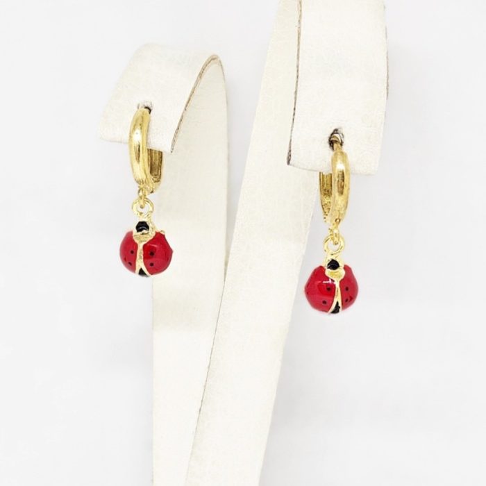 Naušnice - Srebro 925 + 14k pozlata