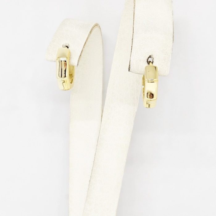 Naušnice - Srebro 925 + 14k pozlata