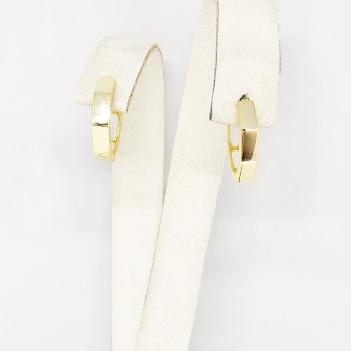 Naušnice - Srebro 925 + 14k pozlata